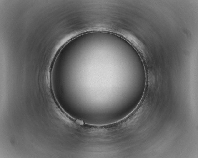 X0000112491238200908171240