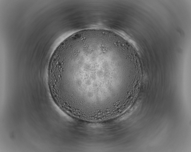 X0000112491239200908171240