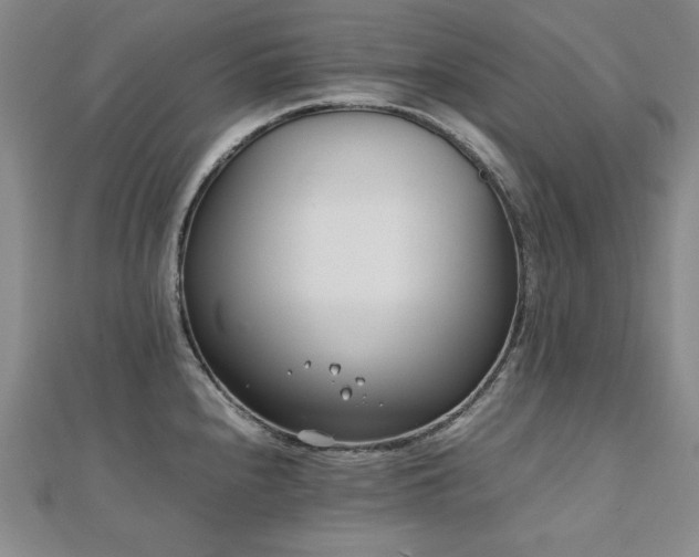 X0000112491240200908171240