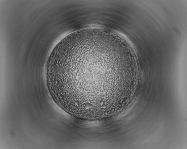 X0000112491243200908171240
