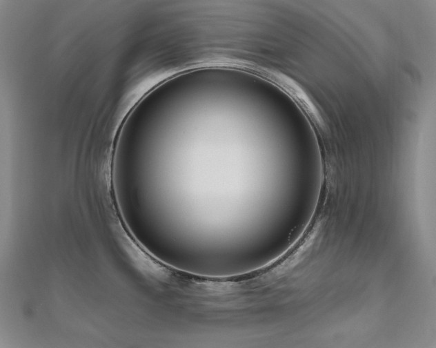 X0000112491244200908171240