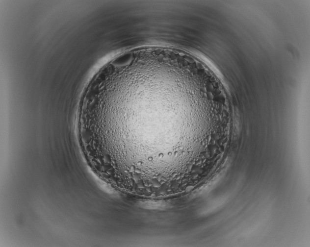 X0000112491245200908171240