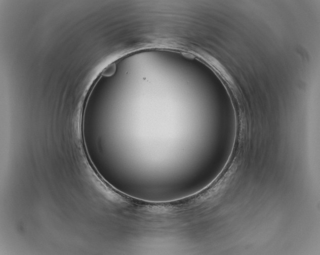 X0000112491246200908171240