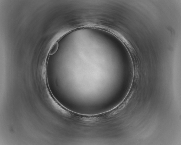 X0000112491247200908171240