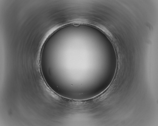X0000112491248200908171240