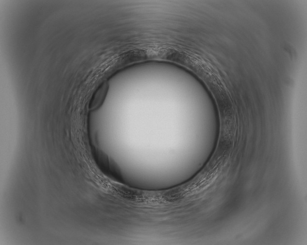 X0000112491249200908171240