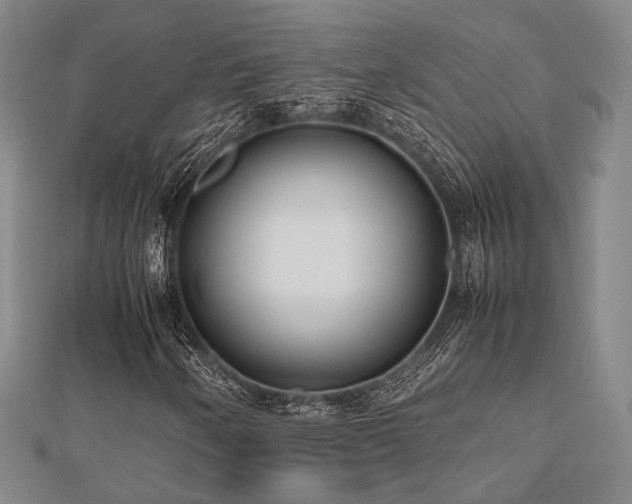 X0000112491250200908171240