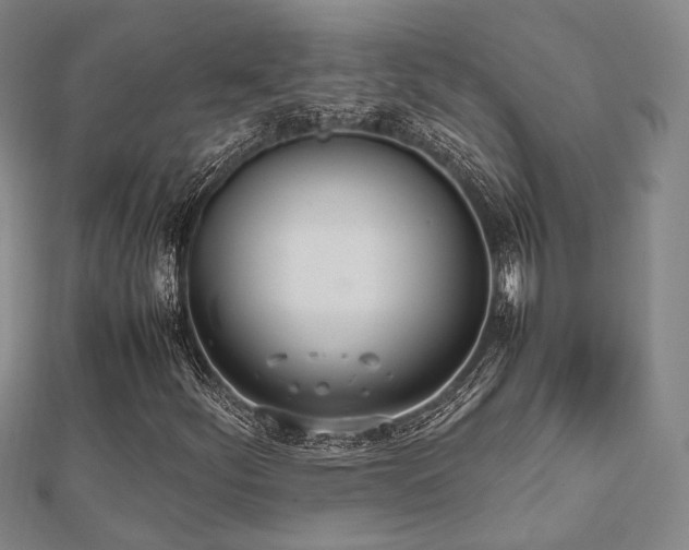 X0000112491252200908171239