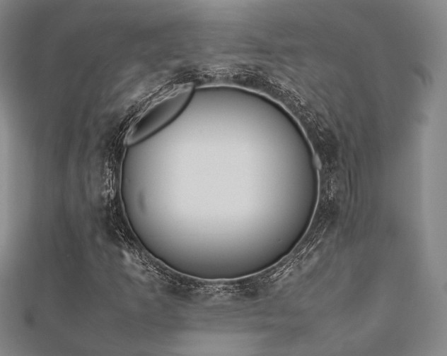 X0000112491253200908171239
