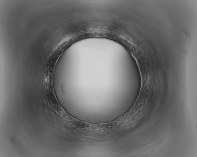 X0000112491254200908171239