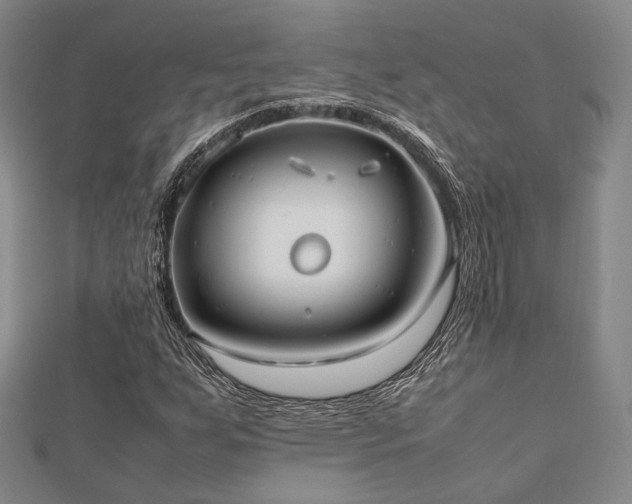 X0000112491255200908171239