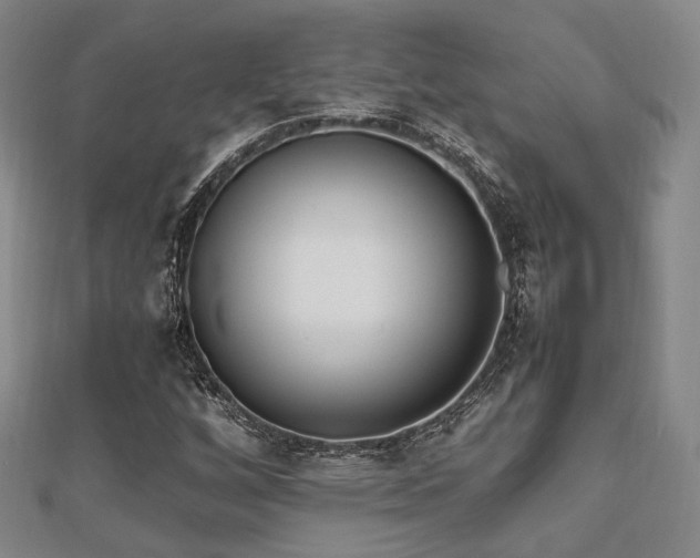 X0000112491256200908171239