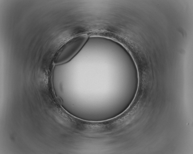 X0000112491257200908171239