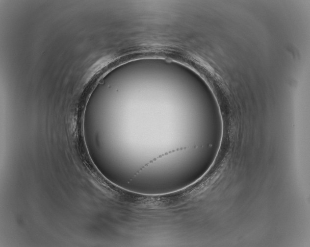 X0000112491259200908171239