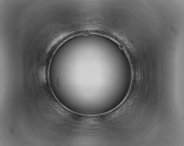 X0000112491262200908171239