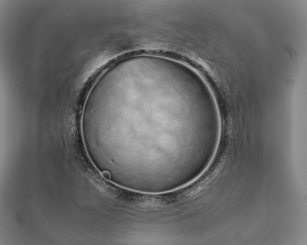 X0000112491263200908171239