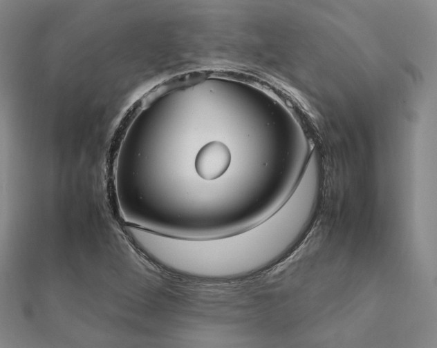 X0000112491264200908171239