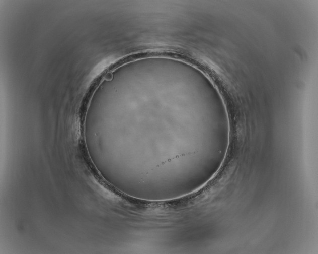 X0000112491267200908171239