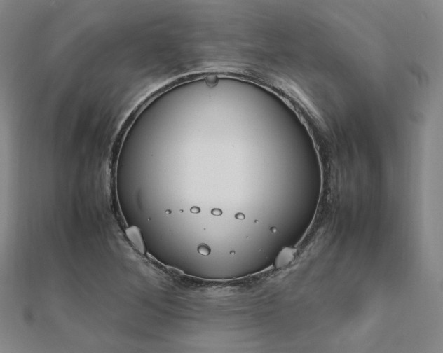 X0000112491268200908171239