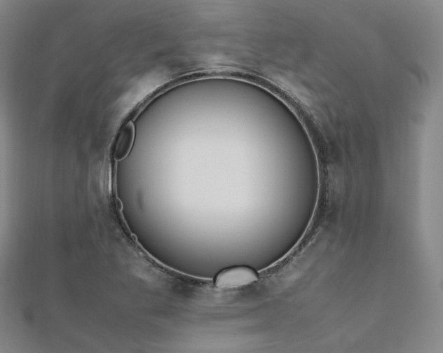 X0000112491269200908171239