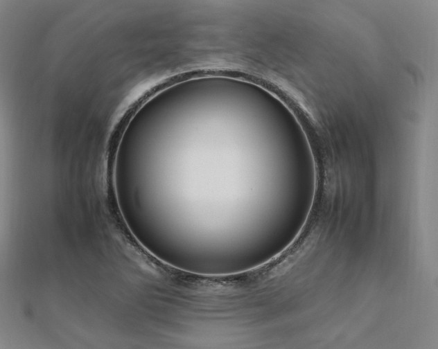 X0000112491270200908171239