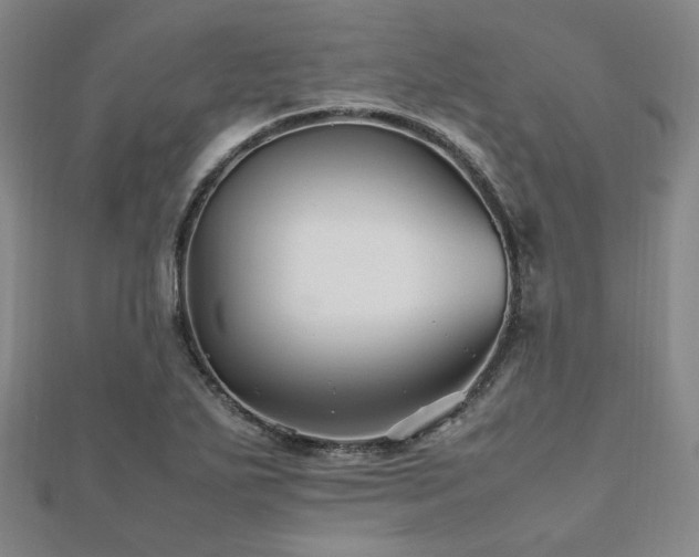 X0000112491271200908171239