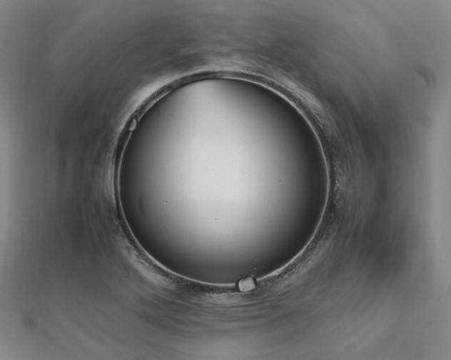 X0000112491272200908171239