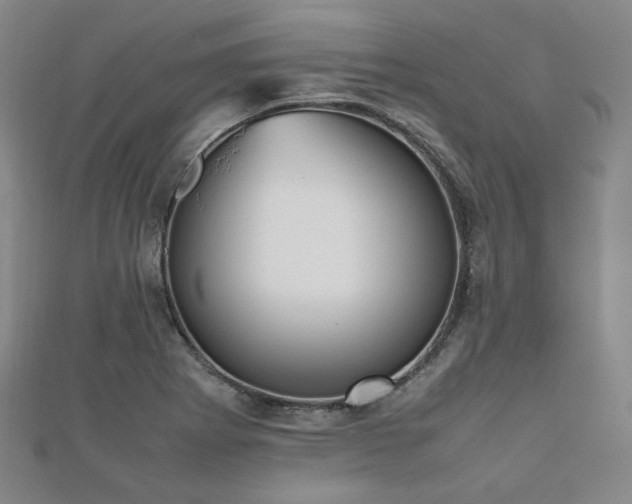 X0000112491273200908171239