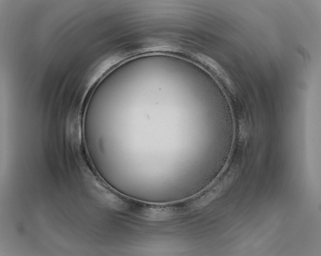 X0000112491274200908171239