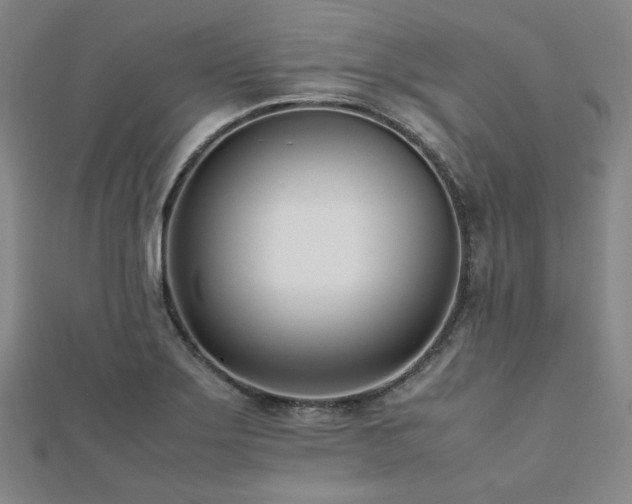 X0000112491275200908171239