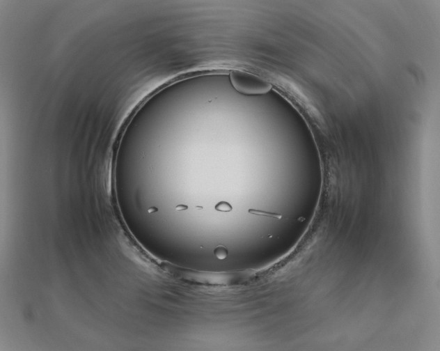 X0000112491276200908171239