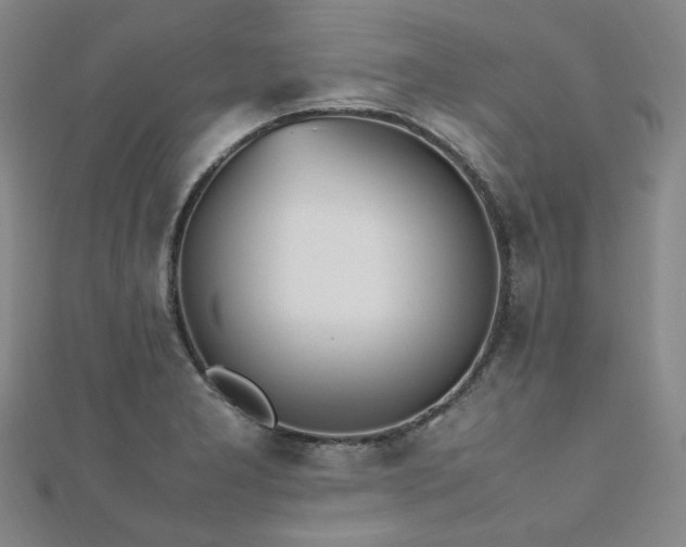 X0000112491277200908171239