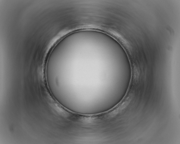 X0000112491278200908171239