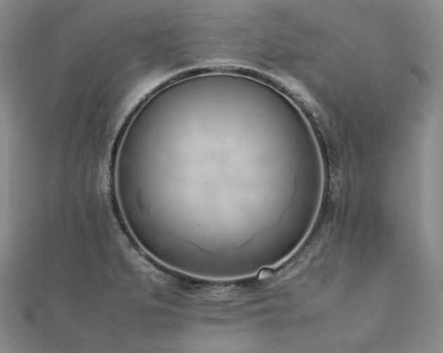 X0000112491279200908171239