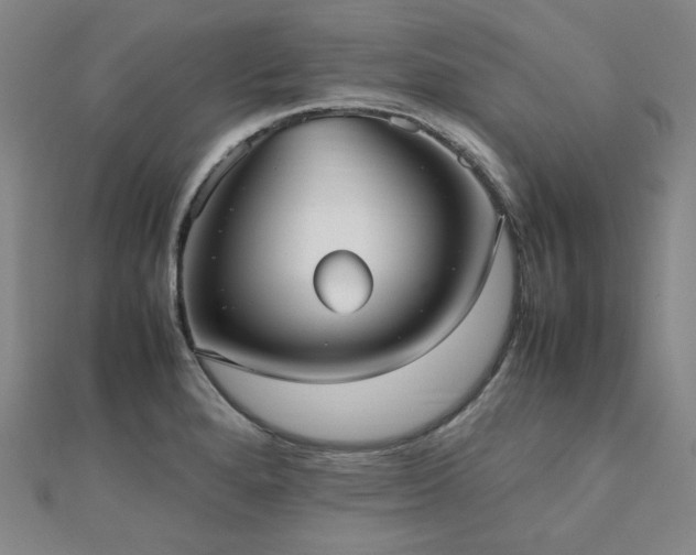 X0000112491280200908171239