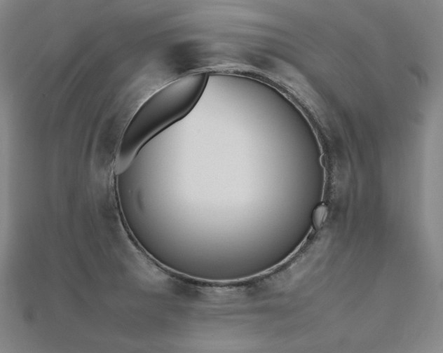 X0000112491281200908171239
