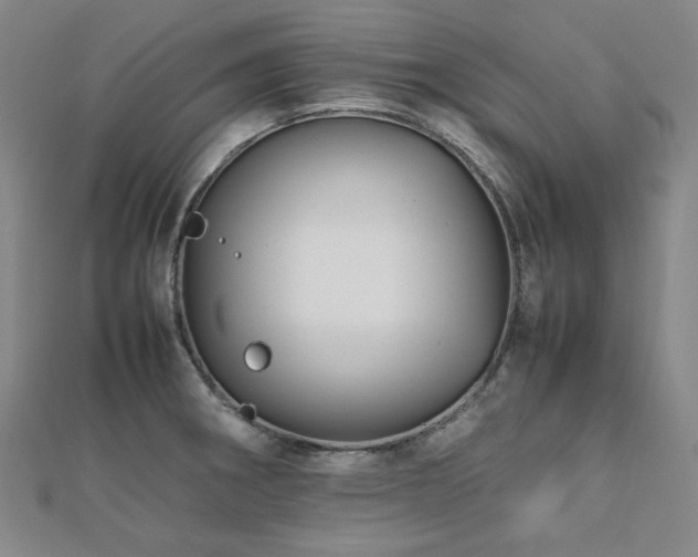X0000112491282200908171239