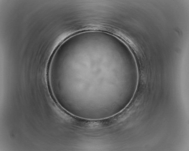 X0000112491283200908171239