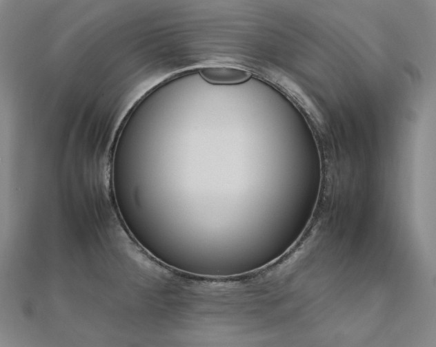 X0000112491284200908171239