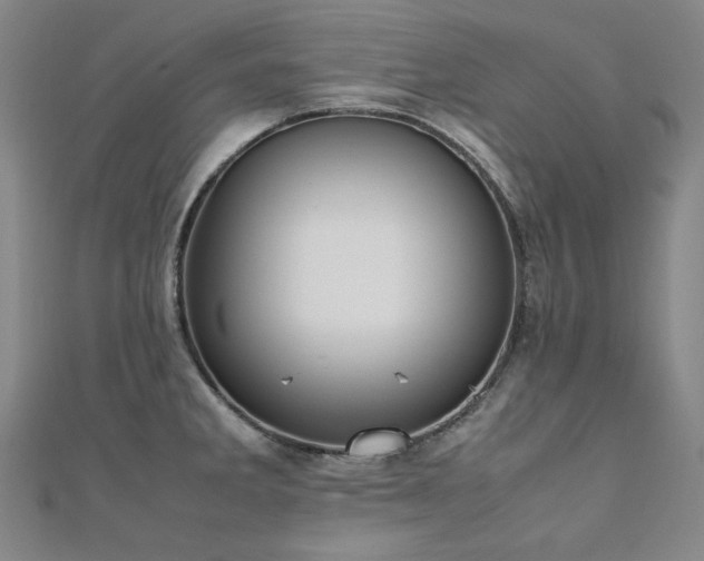 X0000112491285200908171239