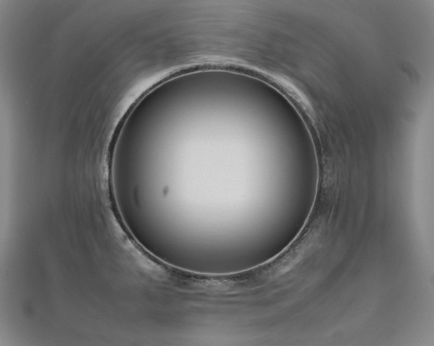 X0000112491287200908171239