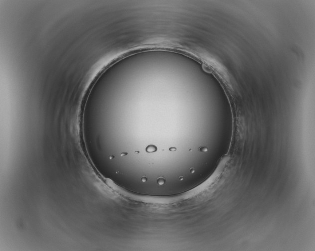X0000112491288200908171239