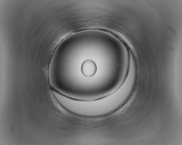 X0000112491289200908171239