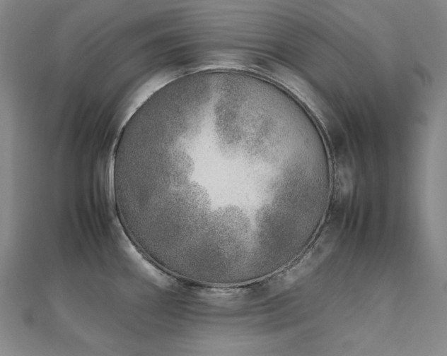 X0000112491290200908171239