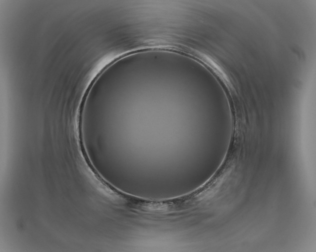 X0000112491291200908171239