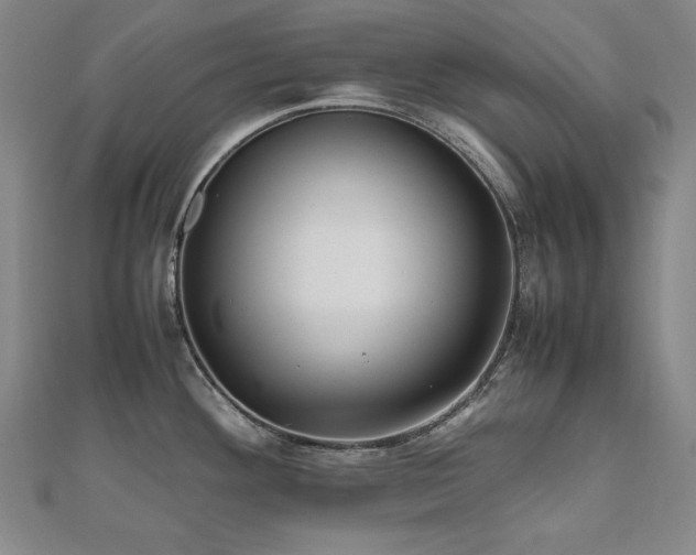 X0000112491292200908171239