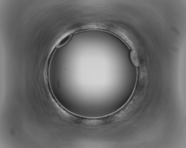 X0000112491293200908171239