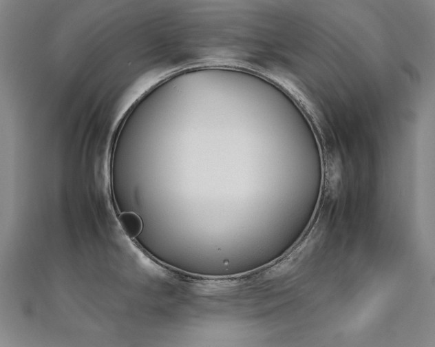 X0000112491294200908171239