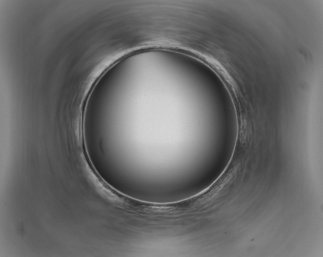 X0000112491295200908171239