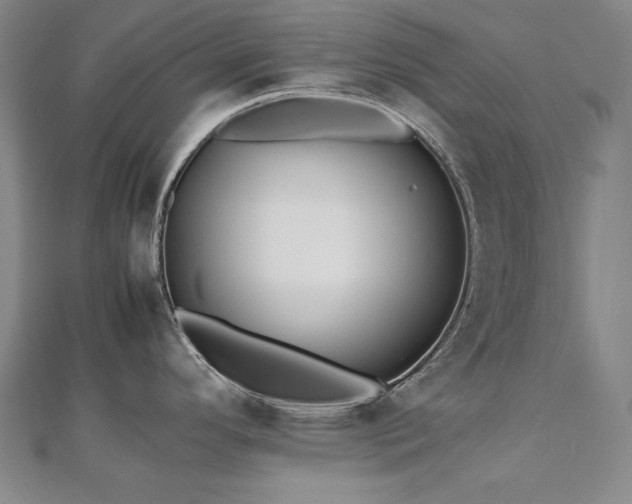 X0000112491296200908171239